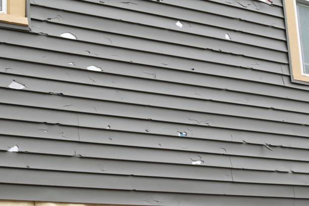 Best Same-Day Junk Removal Services  in Montegut, LA